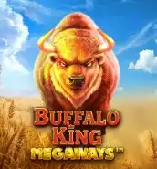 Buffalo King Megaways